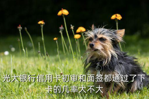 光大銀行信用卡初審和面簽都通過了下卡的幾率大不大