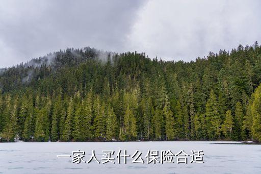 什么保險適合一家人，給全家買什么保險比較適合