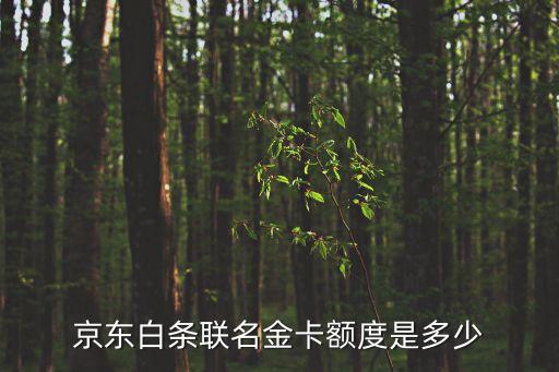 京東白條聯(lián)名金卡額度是多少