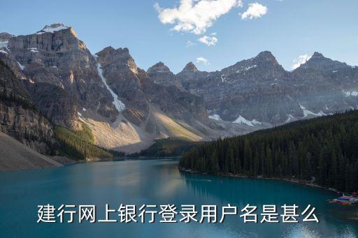 建行網(wǎng)上銀行登錄用戶名是甚么