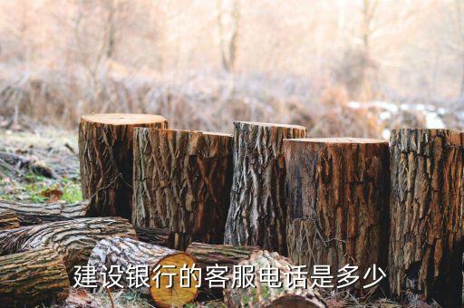 惠陽(yáng)區(qū)建設(shè)銀行電話是多少，建設(shè)銀行客服電話