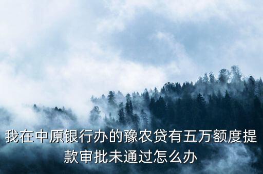 我在中原銀行辦的豫農(nóng)貸有五萬額度提款審批未通過怎么辦