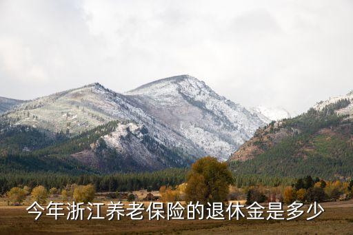 今年浙江養(yǎng)老保險的退休金是多少