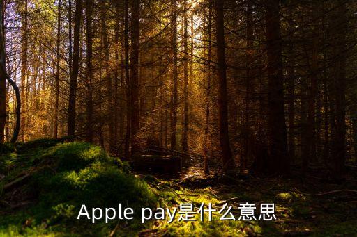 蘋果支付叫什么意思，Apple pay是什么意思