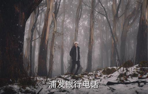 浦發(fā)銀行電話
