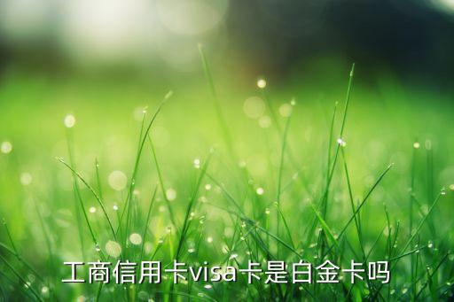 工商銀行南航普卡額度多少錢，工商信用卡visa卡是白金卡嗎
