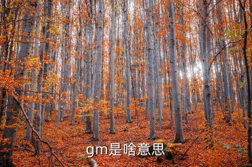 代工專享是什么意思，代工專享是什么意思