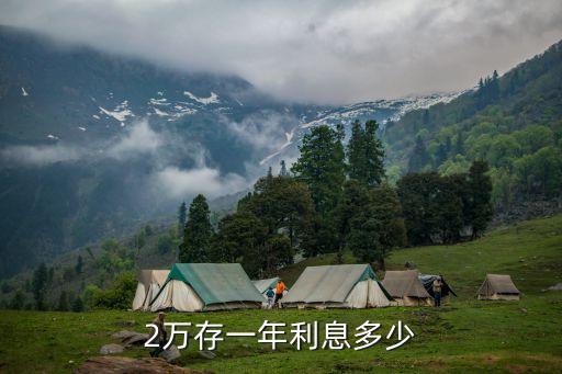 兩萬元一年利息多少錢，2萬存一年利息多少
