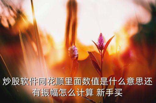 炒股軟件同花順里面數(shù)值是什么意思還有振幅怎么計(jì)算 新手買