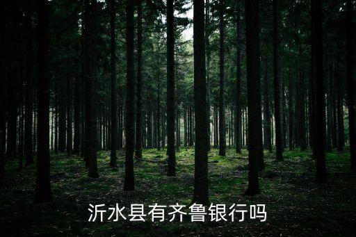 沂水縣有齊魯銀行嗎