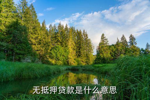 無(wú)抵押貸款是什么意思