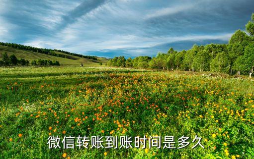 微信轉(zhuǎn)賬到賬時間是多久