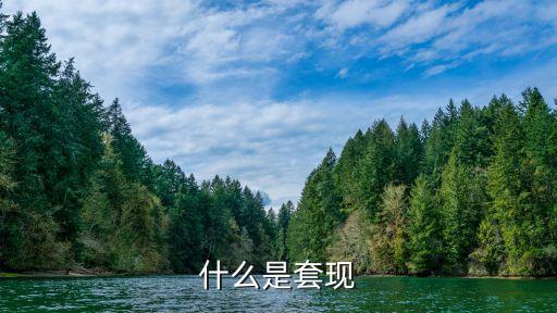 什么是套現(xiàn)