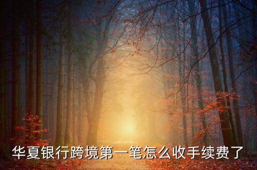華夏銀行跨境第一筆怎么收手續(xù)費(fèi)了