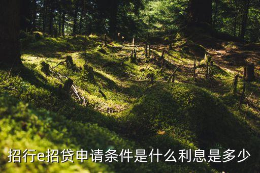 招行e招貸申請條件是什么利息是多少