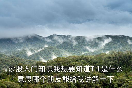 什么是股票t 1，股票T1交易的意思是什么