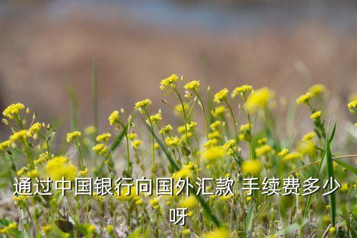 去銀行換美元手續(xù)費(fèi)多少，有關(guān)人民幣和外匯把人民幣換成美元銀行要怎么收費(fèi)