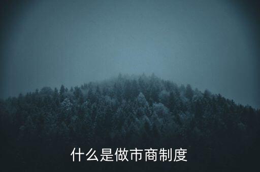 什么叫做市商，什么是做市商制度