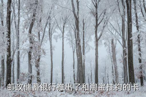 郵政儲(chǔ)蓄銀行推出了和淘寶掛鉤的卡