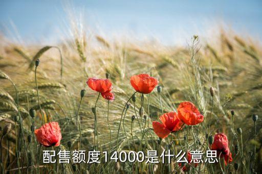 配售額度14000是什么意思