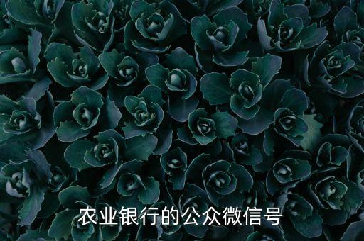 農(nóng)業(yè)銀行公眾號是什么，農(nóng)業(yè)銀行沒有微信公眾號嗎