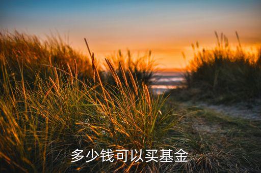 多少錢才可以買基金，最低多少錢可以買基金