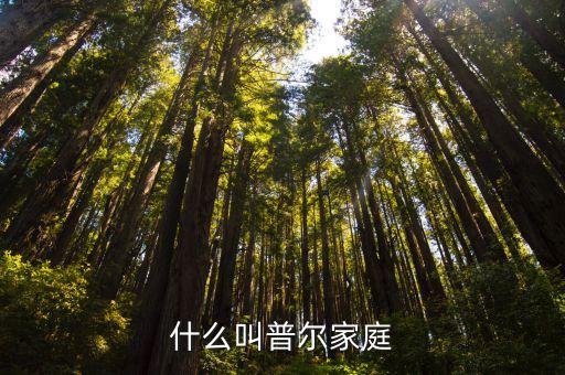 普爾家庭什么意思，股指300是什么意思
