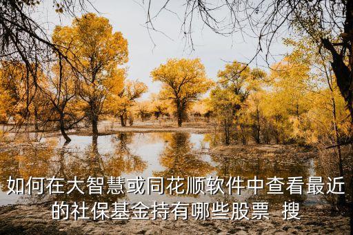 如何在大智慧或同花順軟件中查看最近的社保基金持有哪些股票  搜