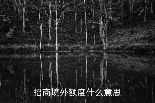 預(yù)約境外臨額什么意思，招行臨額提示同時又顯示境外臨額我先提那個額度
