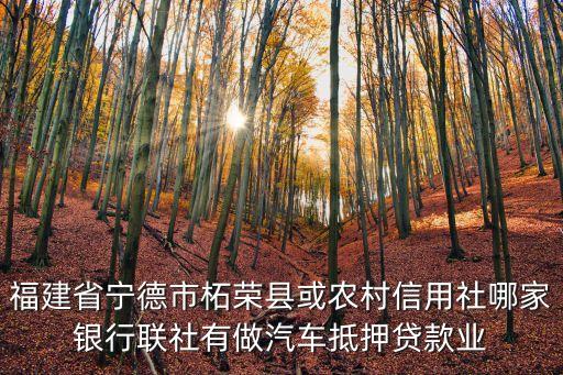 福建省寧德市柘榮縣或農(nóng)村信用社哪家銀行聯(lián)社有做汽車抵押貸款業(yè)