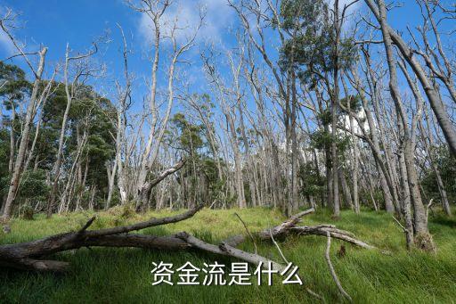 資金流是什么