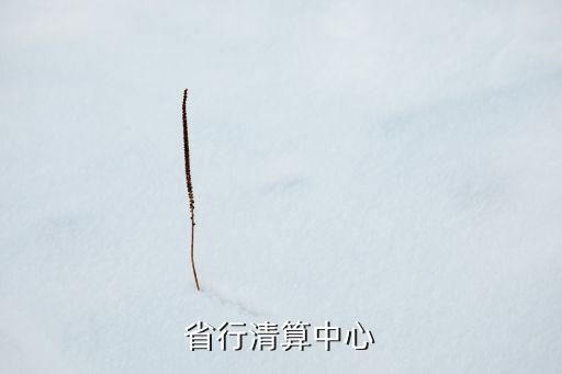 省行清算中心