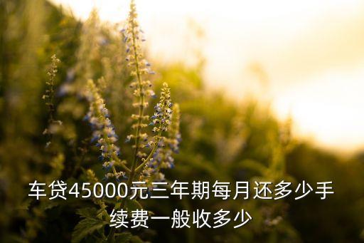 車貸45000元三年期每月還多少手續(xù)費(fèi)一般收多少