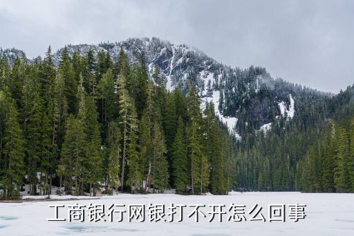 工商銀行網(wǎng)銀打不開(kāi)怎么回事