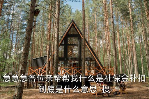 急急急各位親幫幫我什么是社保金補(bǔ)扣到底是什么意思  搜