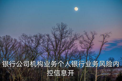 銀行公司機構業(yè)務個人銀行業(yè)務風險內(nèi)控信息開