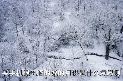 月供系數(shù)什么意思，月供系數(shù)是怎么算的啊