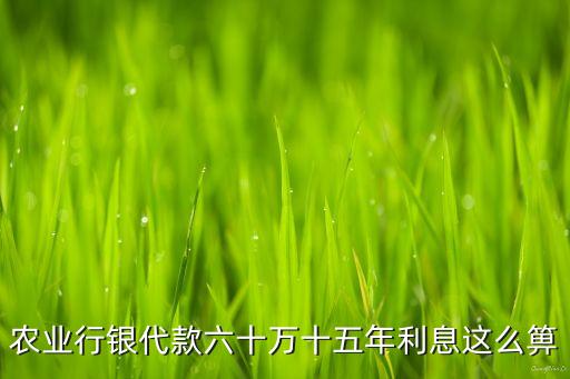 60萬15年利息多少合適嗎，農(nóng)業(yè)行銀代款六十萬十五年利息這么箅