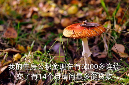 我的住房公積金現(xiàn)在有6000多連續(xù)交了有14個月請問最多能貸款