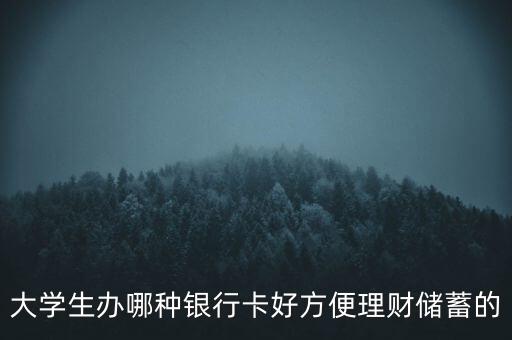 大學(xué)生辦哪種銀行卡好方便理財(cái)儲(chǔ)蓄的
