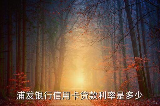 浦發(fā)銀行信用分期手續(xù)費(fèi)多少，浦發(fā)銀行信用卡分期付款利率怎樣算