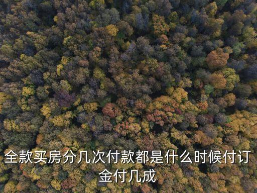 全款買房分幾次付款都是什么時候付訂金付幾成