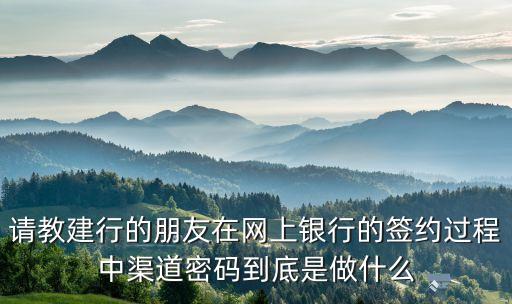 請教建行的朋友在網(wǎng)上銀行的簽約過程中渠道密碼到底是做什么