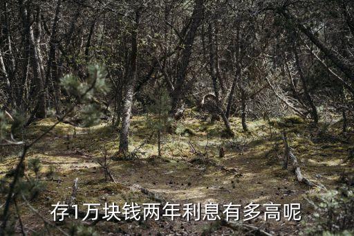 存1萬塊錢兩年利息有多高呢