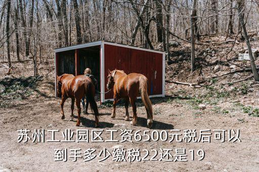 蘇州工業(yè)園區(qū)工資6500元稅后可以到手多少繳稅22還是19