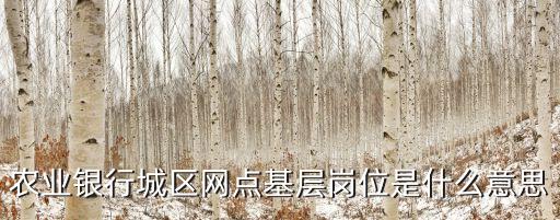農(nóng)業(yè)銀行城區(qū)網(wǎng)點(diǎn)基層崗位是什么意思