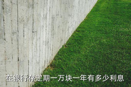人民幣存款有多少利息是多少，在銀行存定期一萬塊一年有多少利息