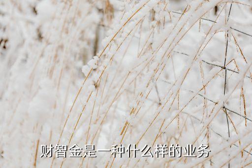 廣發(fā)財智金是什么，財智金是什么求科普
