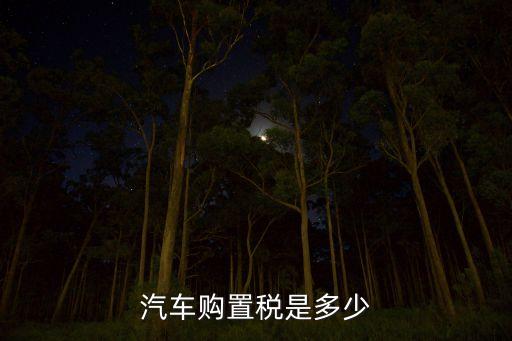 汽車購(gòu)置稅是多少