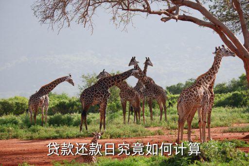貸款還款日究竟如何計(jì)算